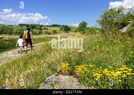 Sentiero archeologico di Eyne, Pirenei catalani, regione di Capcir, Francia Foto Stock