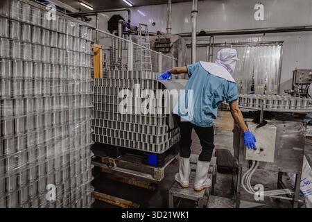 Fabbrica di lattine, fabbrica di alimenti di conserve operaio che carica contenitore di cibo in lattina nel trasporto, fabbrica di alimenti di lattina Foto Stock