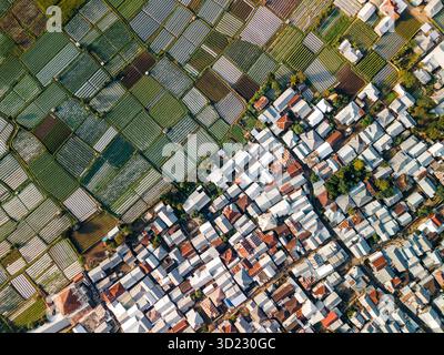 Vista aerea di un'area residenziale densamente popolata vicino a lussureggianti e verdi campi agricoli. Lombok, Sembalun, Indonesia Foto Stock