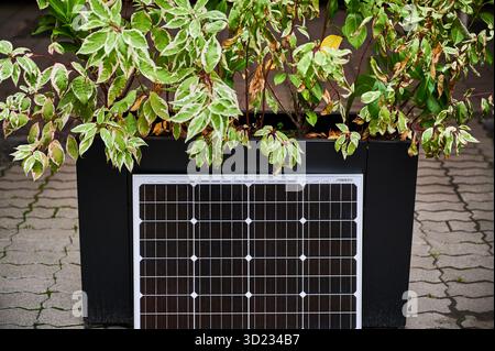 Pannello solare fotovoltaico su una grande piantatrice piena di verde vivace, situato su un'area pavimentata sotto la tettoia. L'ambientazione urbana enfatizza l'integrazione di soluzioni di energia verde all'interno dei moderni paesaggi urbani. Foto Stock