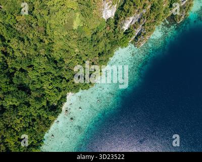 Vista aerea della lussureggiante foresta verdeggiante che incontra le acque cristalline dell'oceano turchese in una giornata di sole. Villaggio di Saleman, isola di Seram, Indonesia Foto Stock