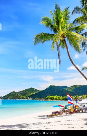Una giornata di sole sulla splendida spiaggia di Chaweng con sabbia bianca, palme da cocco e acque turchesi a Koh Samui, Thailandia. Spiaggia estiva. Verticale Foto Stock