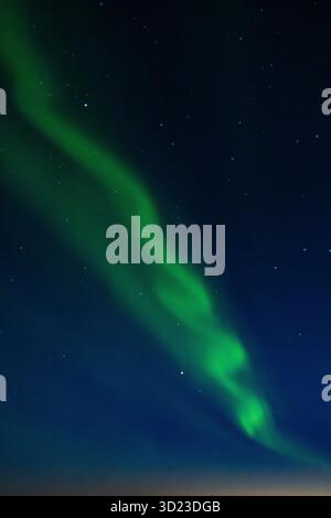 l'aurora boreale verde illumina un cielo notturno chiaro e scuro pieno di stelle scintillanti. Baia di Hudson, Churchill, Manitoba, Canada Foto Stock
