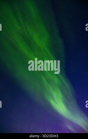 Luci verdi e vivaci dell'aurora boreale che girano nel cielo notturno. Baia di Hudson, Churchill, Manitoba, Canada Foto Stock