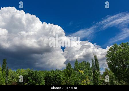 Soffici nuvole bianche su lussureggianti alberi verdi contro un vivace cielo blu. Foto Stock
