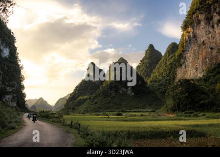 Valle panoramica con lussureggianti montagne verdi e una strada tortuosa al tramonto. Phong Nam, TR˘ng KH·nh District, Cao Bang, Vietnam Foto Stock