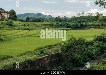 Lussureggianti risaie terrazzate si estendono attraverso un tranquillo paesaggio rurale sotto un cielo parzialmente nuvoloso. Distretto di Binh Lieu, Quang Ninh, Vietnam Foto Stock