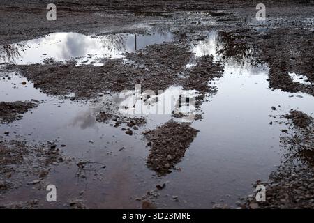 Strada adagiata nel fango con grandi pozzanghere che catturano i riflessi del cielo nuvoloso e degli alberi circostanti, creando una scena piovosa. Foto Stock