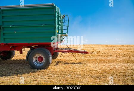 Un rimorchio agricolo verde parcheggiato in un campo di grano dorato sotto un cielo azzurro. Foto Stock