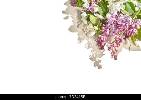Eleganti fiori lilla viola e bianco su sfondo bianco con ombre morbide Foto Stock