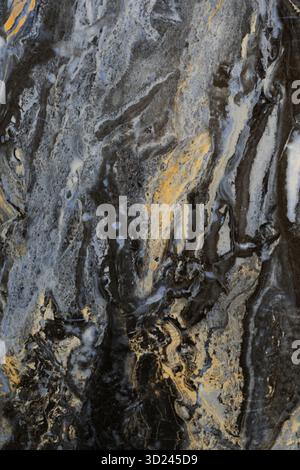 Splendido marmo nero e oro con motivi e texture intricati per un elegante design degli interni Foto Stock