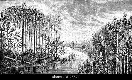 Veduta idealizzata di un paesaggio tipico del periodo carbonifero, illustrazione storica 1900 Foto Stock