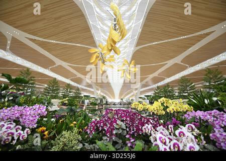 (251030) -- GUANGZHOU, 30 ottobre 2025 (Xinhua) -- questa foto scattata il 24 ottobre 2025 mostra una vista interna del terminal 3 dell'aeroporto internazionale di Guangzhou Baiyun a Guangzhou, nella provincia del Guangdong della Cina meridionale. L'aeroporto Baiyun di Guangzhou, capitale della provincia del Guangdong della Cina meridionale, ha ufficialmente messo in funzione il suo Terminal 3 e la quinta pista, diventando il primo aeroporto civile della Cina a gestire cinque piste commerciali. L'espansione dell'aeroporto internazionale di Guangzhou Baiyun, uno dei tre principali hub dell'aviazione internazionale del paese, è un altro passo verso la costruzione di un World-cl Foto Stock