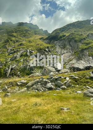 Splendida vista su una montagna estiva. L'erba verde e il cielo azzurro sottolineano la bellezza della natura in montagna. Foto Stock