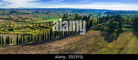 Idilliaca campagna toscana. colorate vigne autunnali campi e cipressi. Paesaggio paesaggistico toscano , Italia, Chianti Foto Stock