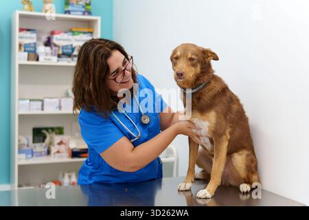 Veterinario che esamina un cane marrone su un tavolo d'esame in una clinica veterinaria con forniture mediche in background Foto Stock