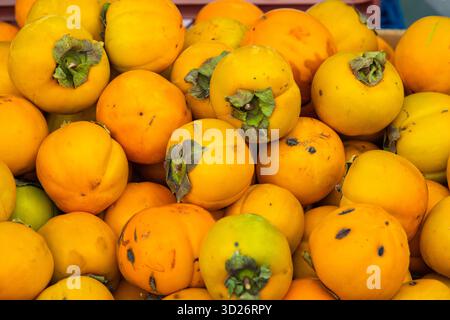 Un mucchio di cioccolato con gambi verdi. Le arance sono mature e pronte a mangiare. Il mucchio è pieno di arance e sono tutte di dimensioni diverse Foto Stock