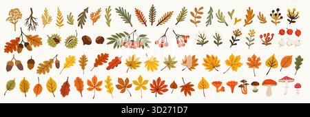 Set di adesivi vettoriali autunnali con graziosi elementi stagionali, foglie autunnali, ghiande, funghi, bacche, e rami. Accogliente illustrazione disegnata a mano in caldo Illustrazione Vettoriale