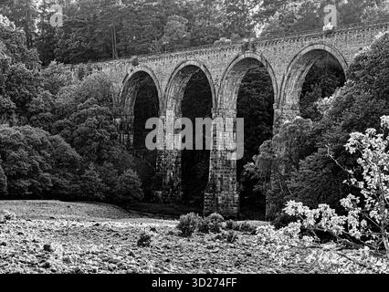 Immagine in bianco e nero del magnifico viadotto di Lambley nel Northumberrland che mostra la brillantezza dell'ingegneria e della muratura Foto Stock