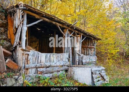 Una cabina fatiscente con un tetto in legno e una porta in legno. La cabina è circondata da alberi e ha un'atmosfera rustica Foto Stock