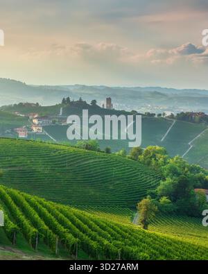 Vista dell'ora d'oro sui vigneti terrazzati della regione delle Langhe. La torre del Barbaresco si erge sulla cima della collina, contro un cielo nebbioso al tramonto in Piemonte Foto Stock