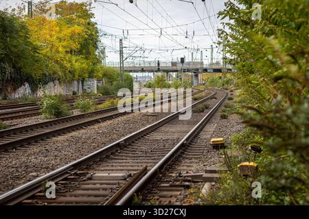 I binari ferroviari si snodano attraverso un paesaggio sovrastato, con piante e alberi che fiancheggiano i lati. Un ponte urbano è visibile sullo sfondo sotto un grigio Foto Stock