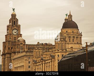 Una vista degli uccelli del fegato in cima al Liver Building, Liverpool Foto Stock