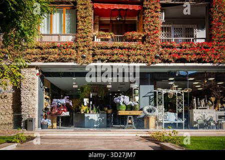 Un negozio di fiori con una tenda rossa e una pianta di edera verde sul lato. Il negozio è aperto e presenta un'atmosfera accogliente Foto Stock