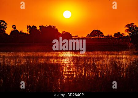 Tramonto sul Chobe in Botswana, Africa Foto Stock