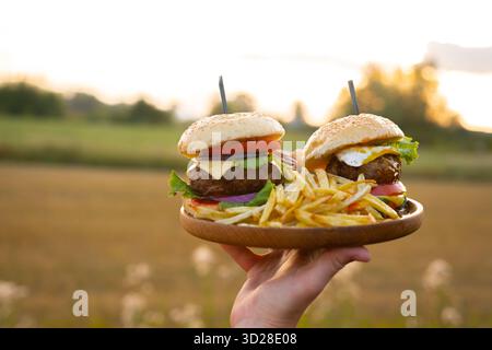 Due hamburger con cutlet di hamburger di manzo, cipolla fritta, salsa ketchup e formaggio Foto Stock