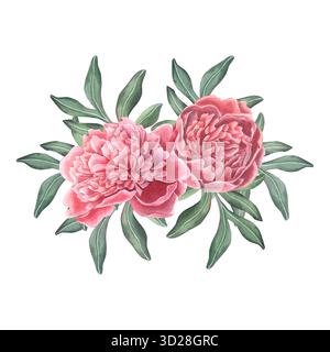 Aprire i fiori di peonia rosa con le foglie. Illustrazione botanica ad acquerello dipinta a mano isolata su bianco per motivi floreali, inviti di nozze Foto Stock