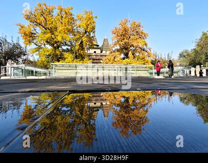 Pechino, Cina. 31 ottobre 2025. Questa foto scattata da un telefono cellulare il 31 ottobre 2025 mostra i turisti che visitano il tempio di Wuta (cinque pagoda) a Pechino, capitale della Cina. Crediti: Xu Jinquan/Xinhua/Alamy Live News Foto Stock