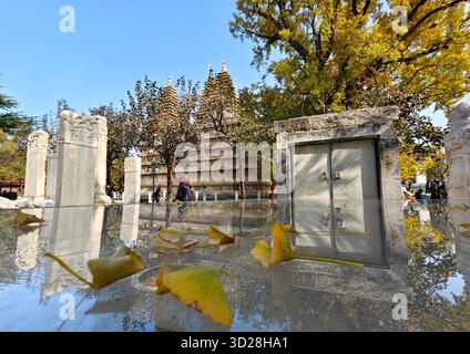 Pechino, Cina. 31 ottobre 2025. Questa foto scattata da un telefono cellulare il 31 ottobre 2025 mostra i turisti che visitano il tempio di Wuta (cinque pagoda) a Pechino, capitale della Cina. Crediti: Xu Jinquan/Xinhua/Alamy Live News Foto Stock