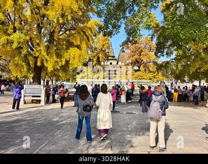 Pechino, Cina. 31 ottobre 2025. Questa foto scattata da un telefono cellulare il 31 ottobre 2025 mostra i turisti che visitano il tempio di Wuta (cinque pagoda) a Pechino, capitale della Cina. Crediti: Xu Jinquan/Xinhua/Alamy Live News Foto Stock