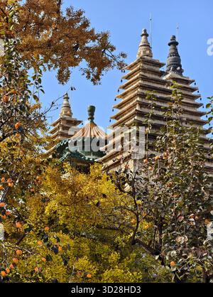 Pechino, Cina. 31 ottobre 2025. Questa foto scattata da un telefono cellulare il 31 ottobre 2025 mostra una vista del Tempio di Wuta (cinque pagoda) a Pechino, capitale della Cina. Crediti: Xu Jinquan/Xinhua/Alamy Live News Foto Stock