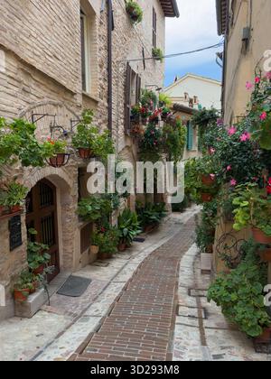 Splendida vista su un vicolo di Spello, un famoso borgo medievale dell'Umbria rinomato per le sue strade fiancheggiate da fiori Foto Stock