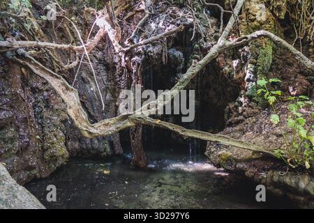 Grotta naturale delle terme di Afrodite Botanical Garden nella foresta nazionale di Akamas sulla penisola di Akamas, Paphos District a Cipro Foto Stock