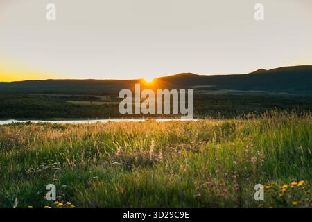 L'ora d'oro bagna il prato sereno di luce calda mentre il sole si abbassa. Waterton, Alberta Foto Stock