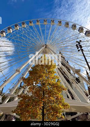 Centro di Manchester. Grande ruota panoramica e colori autunnali allestiti per i mercatini di Natale in Albert Square. Foto Stock
