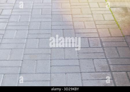Zona pedonale nel parco con la luce del sole. Lastra di pavimentazione. Sfondo grigio. Foto Stock