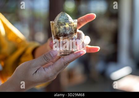 L'avocado a focalizzazione selettiva si inserisce in un vetro trasparente con acqua all'interno. Coltivare facilmente avocado dai semi di avocado. Foto Stock