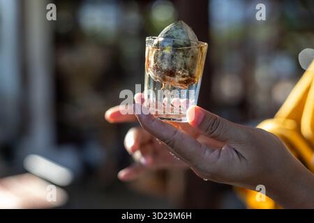 L'avocado a focalizzazione selettiva si inserisce in un vetro trasparente con acqua all'interno. Coltivare facilmente avocado dai semi di avocado. Foto Stock