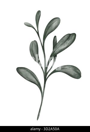Un'illustrazione ad acquerello di un ramo di eucalipto isolato sul bianco è un elemento popolare nell'arte botanica e nel design floreale, spesso utilizzato per il matrimonio Foto Stock