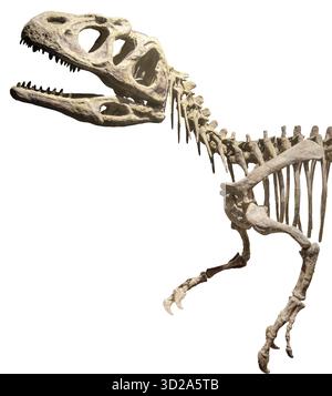 Vista laterale intero corpo piatnitzkysaurus foto isolata di dinosauro, Argentina Foto Stock