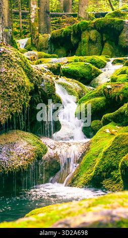 Vista ravvicinata della piccola cascata circondata da muschio e colori autunnali dorati nella foresta Foto Stock