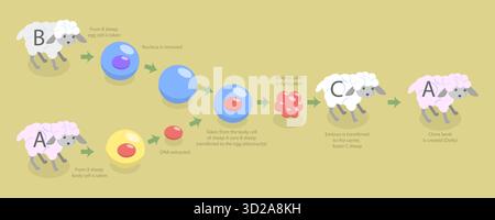Illustrazione concettuale piatta isometrica 3D della clonazione animale, esempio di biotecnologia illustrazione concettuale piatta isometrica 3D della clonazione animale, esempio di biotecnologia Foto Stock