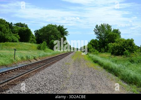 Una serie di binari ferroviari che conducono nella campagna dividendo una foresta di alberi decidui. Erba verde e arbusti confinano con i binari. Foto Stock