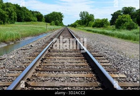 Una serie di binari ferroviari che conducono nella campagna dividendo una foresta di alberi decidui. Erba verde e arbusti confinano con i binari. Foto Stock
