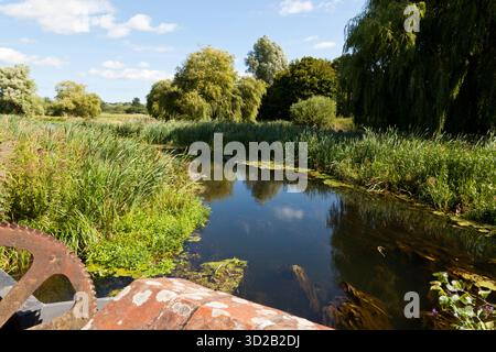 River Wensum, Norfolk, Inghilterra, Regno Unito Foto Stock