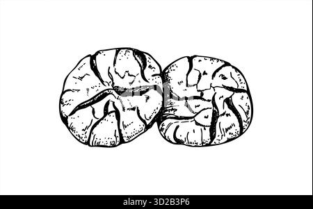 Immagine monocromatica isolata vettoriale dei due biscotti incrinati dipinta da inchiostri neri. Disegno tradizionale italiano, americano o marocchino con incisione di biscotti. Illustrazione Vettoriale
